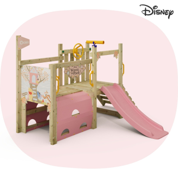 Dětská prolézačka pro nejmenší Disneyho Medvídek Pú First Experience od Wickey  835258_k
